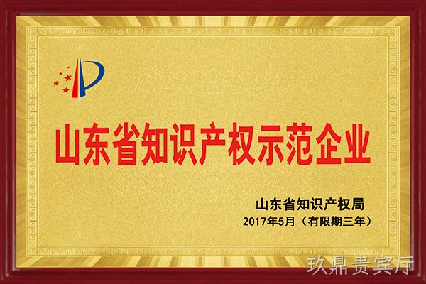 玖鼎贵宾厅荣获“2017年山东省知识产权示范企业”称号