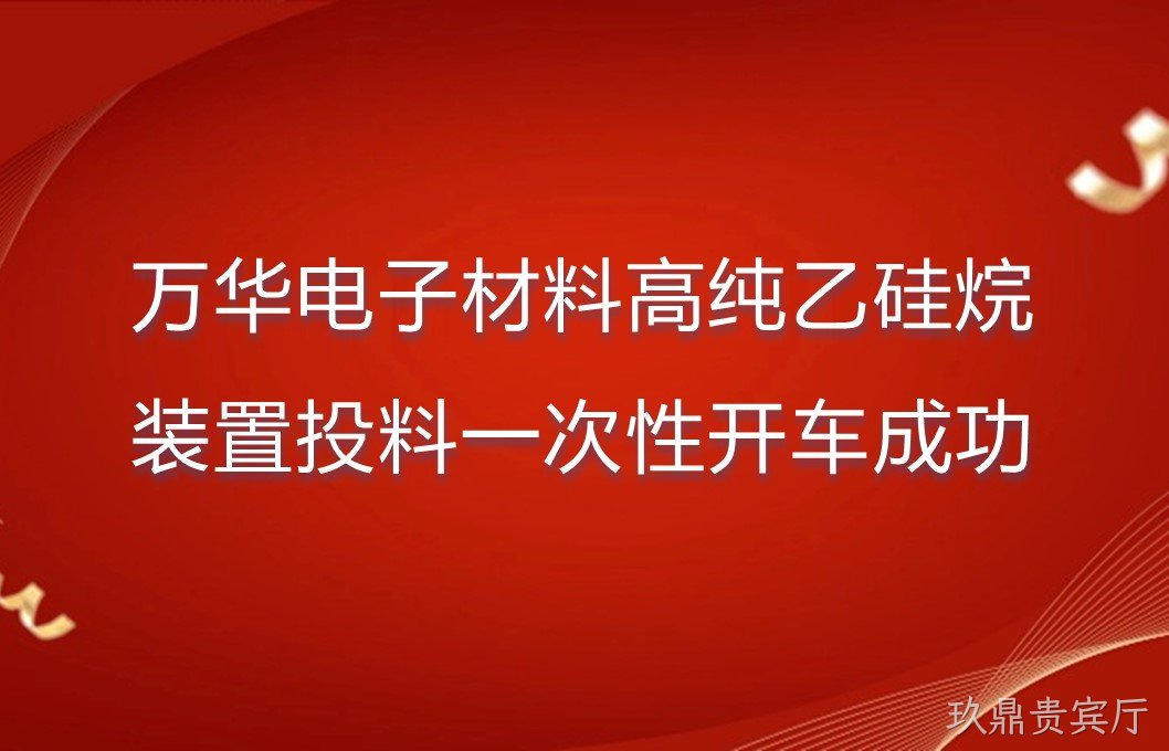 万华电子材料高纯乙硅烷装置投料一次性开车成功