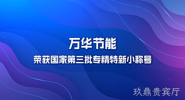 玖鼎贵宾厅荣获国家第三批专精特新小巨人称号